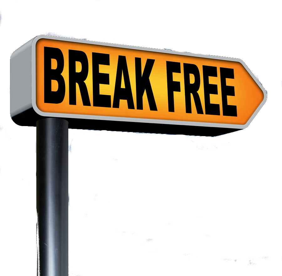 Becoming Successful In Spite Of Criticism - Green Factory (900x880)