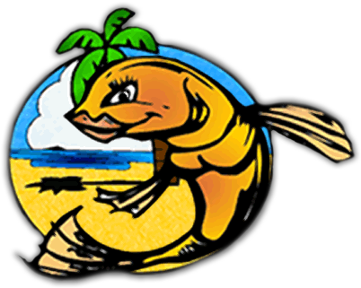 Big Fish Travel - Big Fish Travel (450x356)