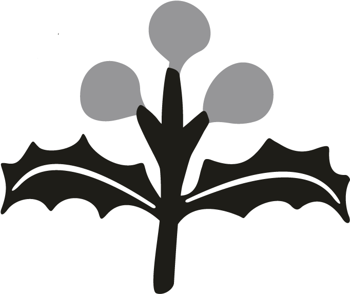 Holly Bud - Illustration (696x696)