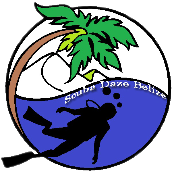 Scuba Diving Line Art (614x621)