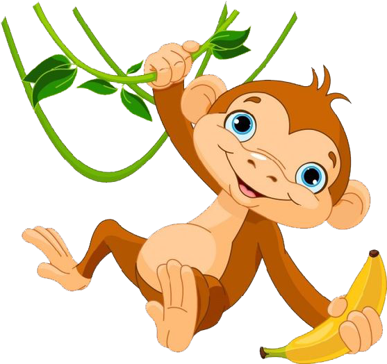 564 X 564 2 - Clipart Monkey (564x564)