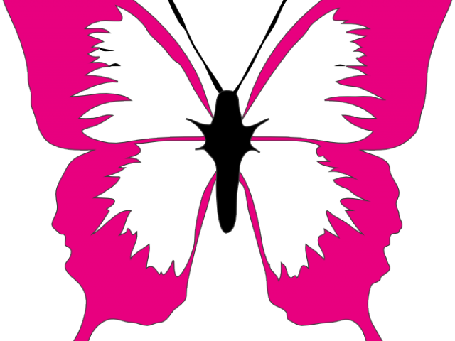 Other Popular Clip Arts - Butterfly Clip Art (640x480)
