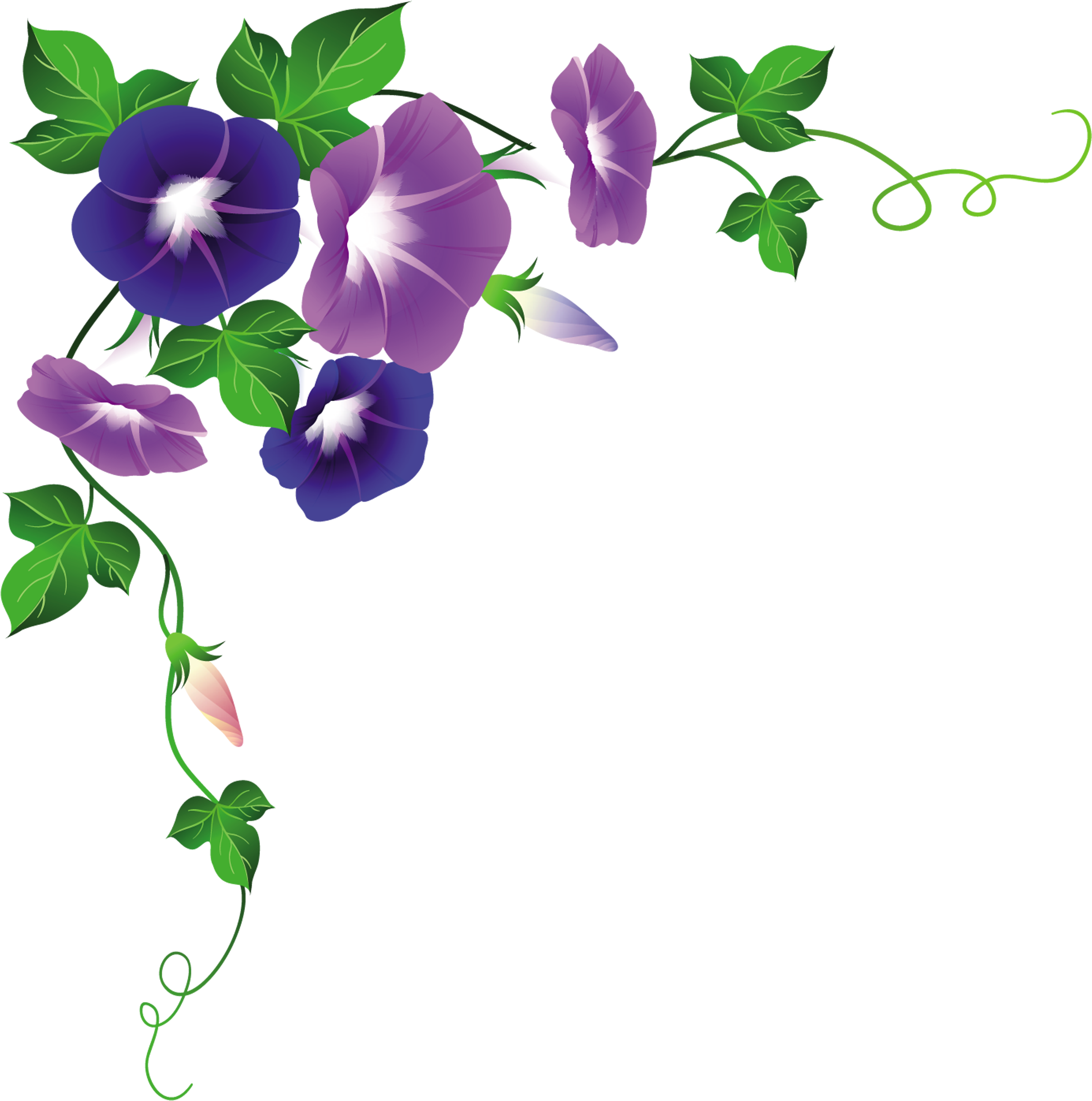 Bordes De Flores Para Caratulas (2289x2364)