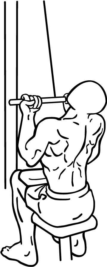 V Bar Pull Down Clipart Pulldown Exercise Pull-up - V Bar Pull Down Clipart Pulldown Exercise Pull-up (358x900)