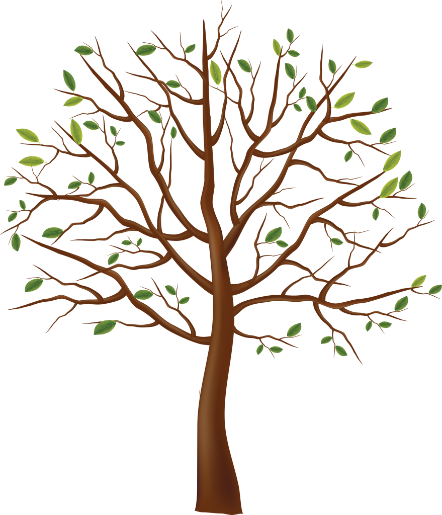 Welcome To The Family - Tree Drawing Transparent Background (879x1024)