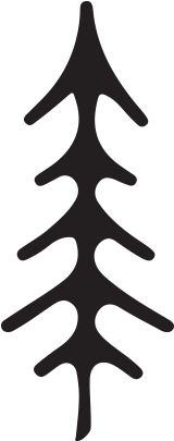 La Push Farm Wedding // Lisa And Cole // Pnw Wedding - Christmas Tree (375x450)