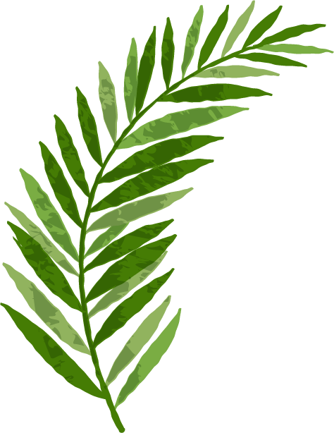 We've Laid Out A Few Things For You To Consider When - We've Laid Out A Few Things For You To Consider When (474x614)