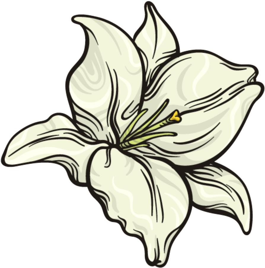 This Graphics Is Snow White Flower Png Transparent - This Graphics Is Snow White Flower Png Transparent (894x903)