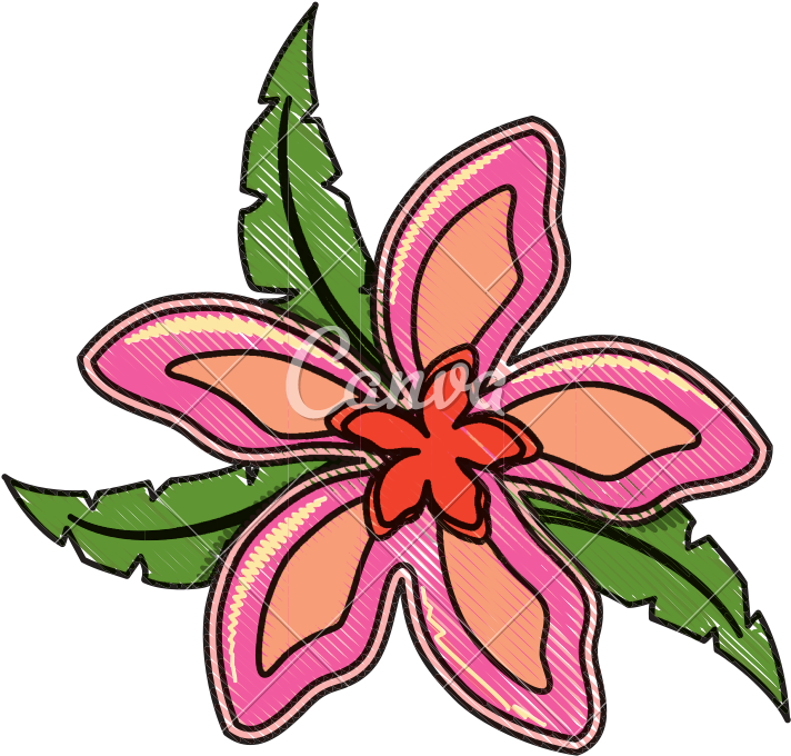 Beautiful Tropical Flower Design - Rosa Glauca (800x800)