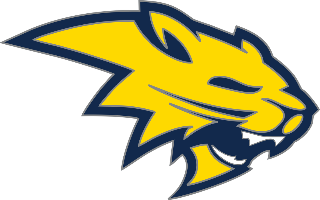 Banner Free Alumni Neuqua Valley Family Playing - Neuqua Valley High School Logo (1100x690)