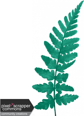 456 X 456 3 - Ostrich Fern (456x456)