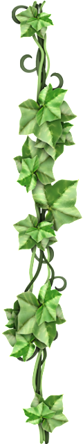 Ivy - Png - Origami (264x638)