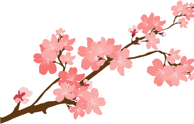 Spring Clipart Cherry Blossom - Transparent Flower Stickers Png (640x480)