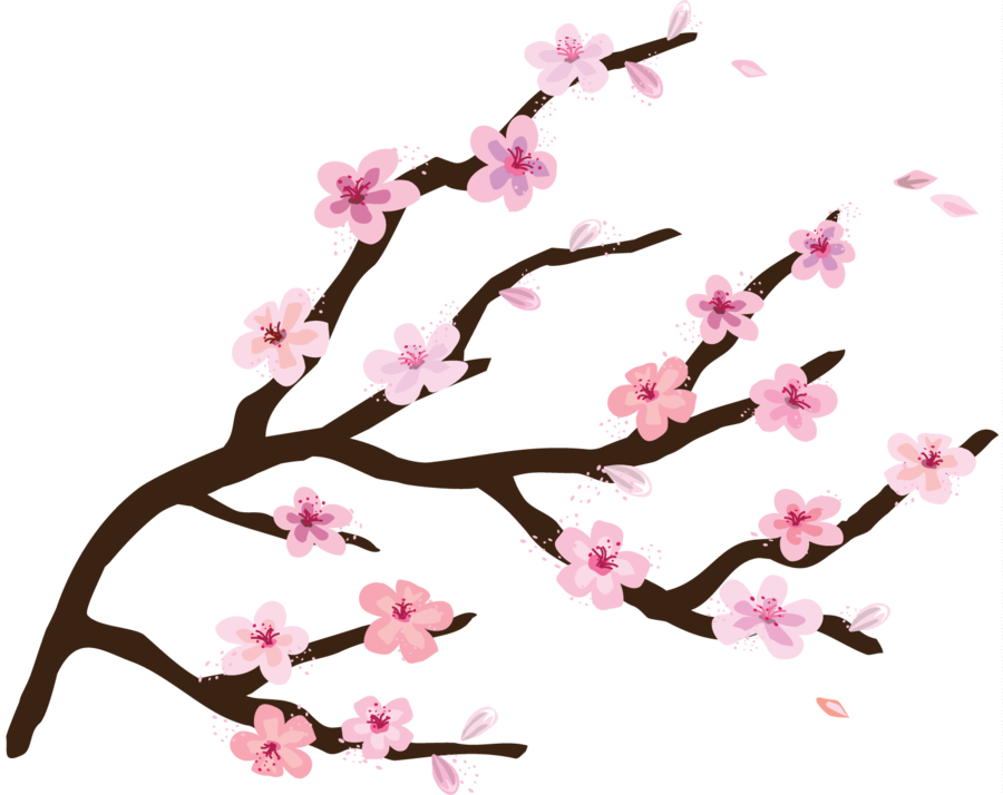 Cartoon Cherry Blossom Branch Clipart Cherry Blossom - Clipart Cher...