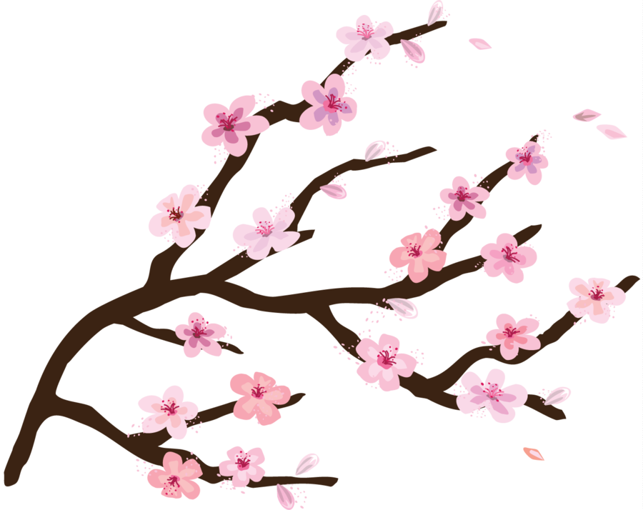 Cartoon Cherry Blossom Branch Clipart Cherry Blossom - Clipart Cherry Blossom Tree Transparent Background (900x714)