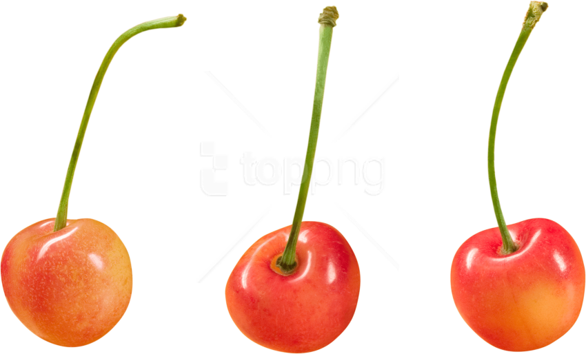 Free Png Download Cherry Clipart Png Photo Png Images - Png Free For Commercial Use (850x514)