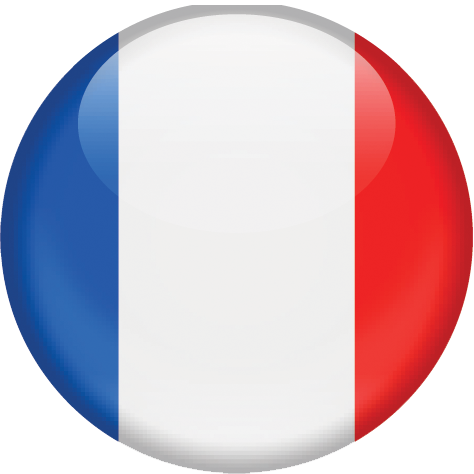 Flag Of France - France Flag In A Ball (474x474)