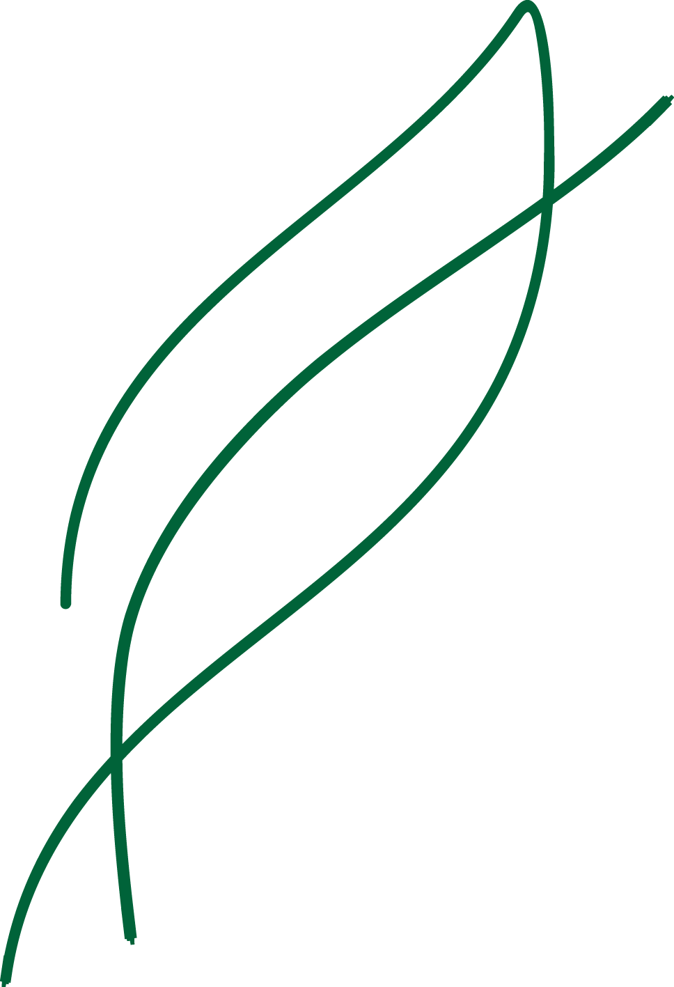 Skip To Content Hawthorn Restaurant Melbourne - Line Art (968x1417)