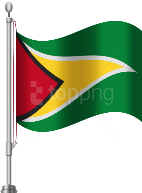 Free Png Download Guyana Flag Clipart Png Photo Png - Papua New Guinea Flag Png (480x626)