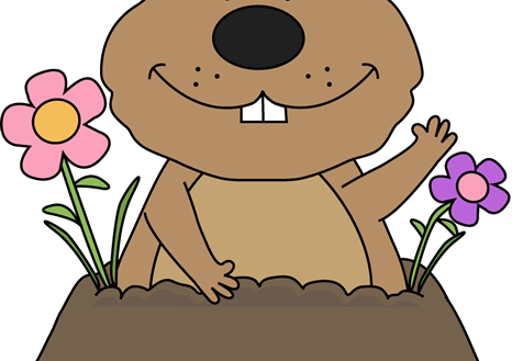 Limited Groundhog Pictures Free Day Clip Art Images - Groundhog No Shadow Clip Art (466x329)