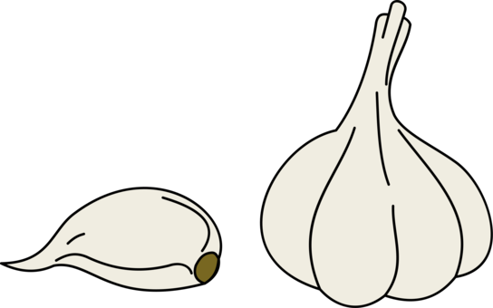 Download Similars - Clipart Image Of Garlic (544x340)
