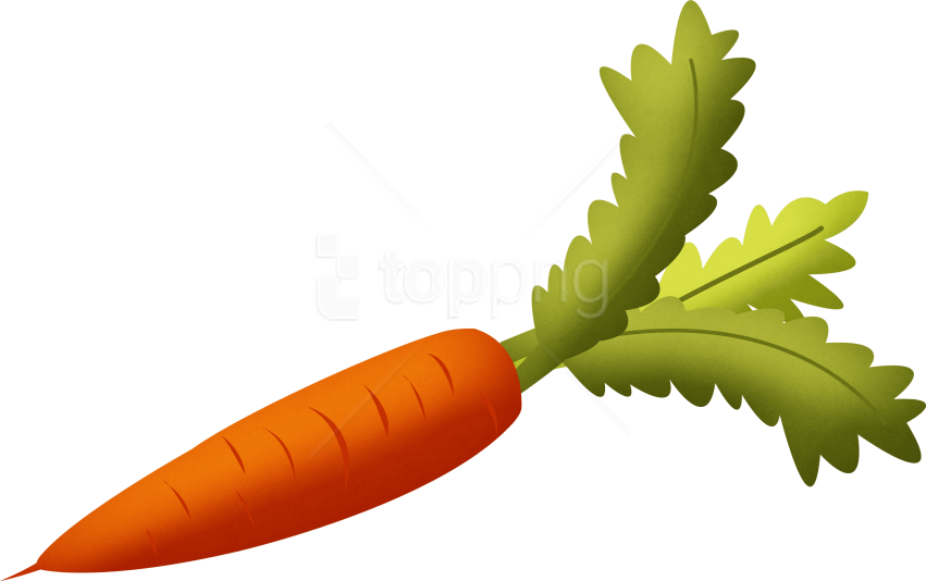 Free Png Download Carrot Clipart Png Photo Png Images - Carrot Clipart Png (851x534)