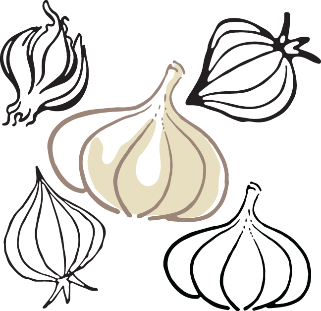 Garlic (648x627)