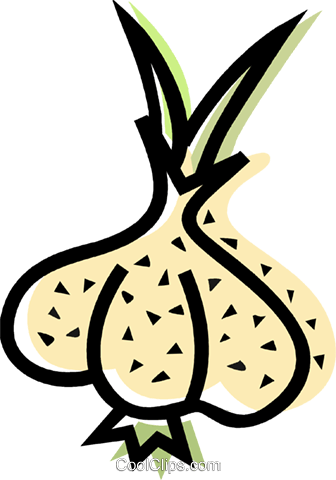 Garlic Royalty Free Vector Clip Art Illustration - Garlic Royalty Free Vector Clip Art Illustration (336x480)