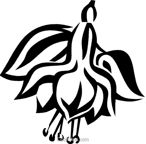 Fuchsia Royalty Free Vector Clip Art Illustration - Powerpoint Slide Designs (480x473)