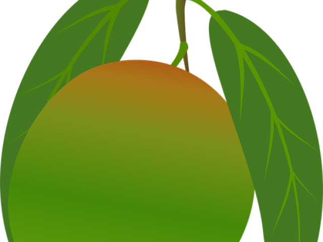 Mango Clipart 10 Mango - Mango Clipart 10 Mango (640x480)