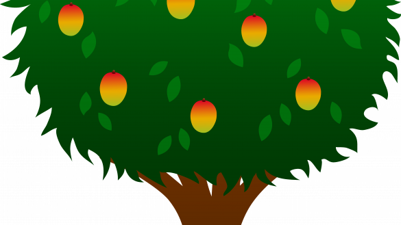 Download Clipart - Tree Of Mango Clipart (585x329)