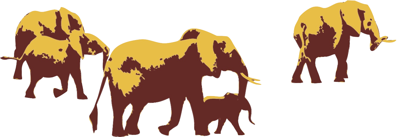 A Death In The Family - Indian Elephant (1331x462)