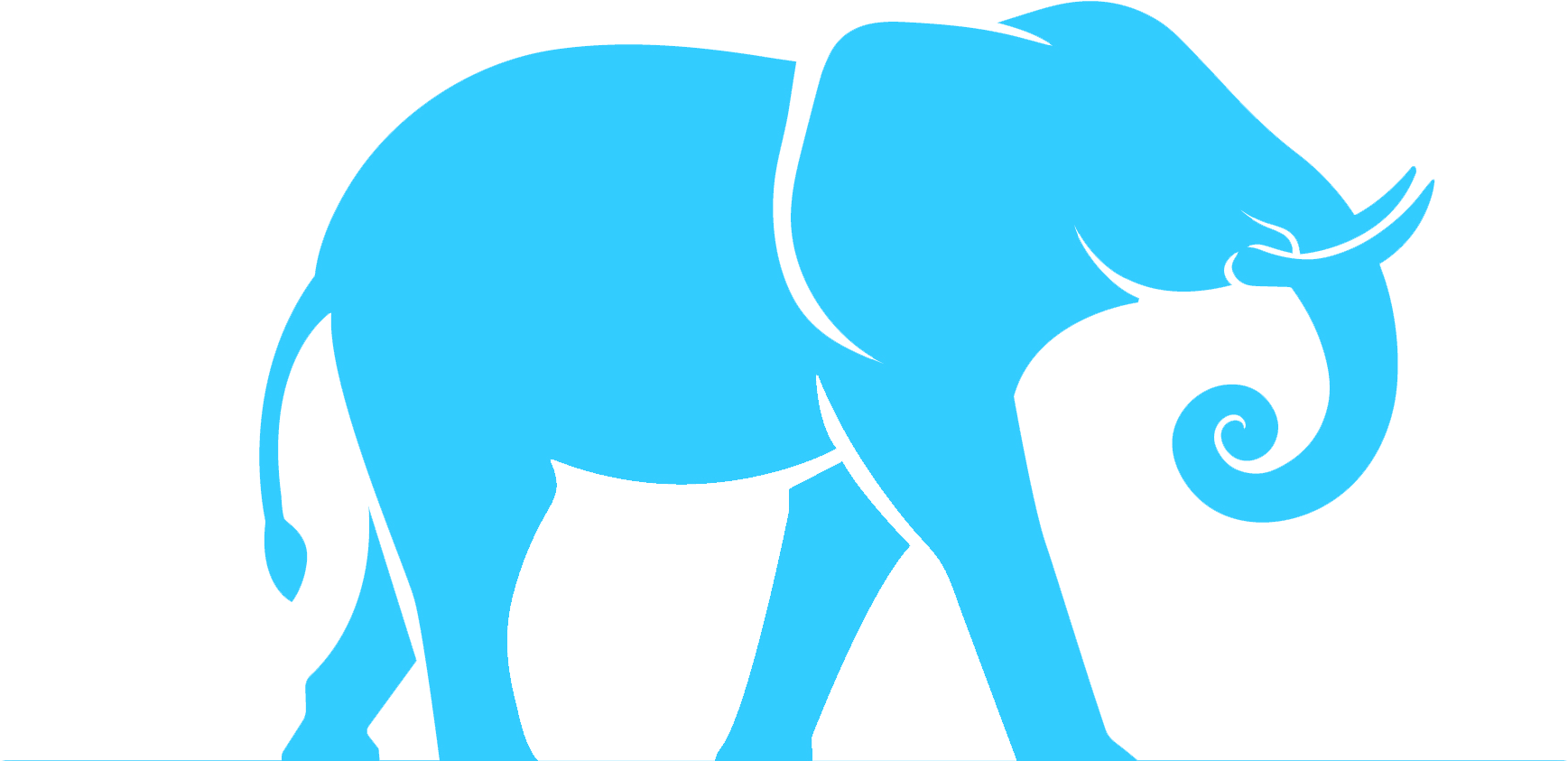 The Elephant - Indian Elephant (2000x1058)