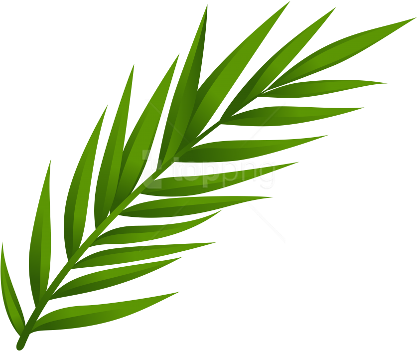 Free Png Download Leaf Clipart Png Photo Png Images - Clipart Leaves (850x713)