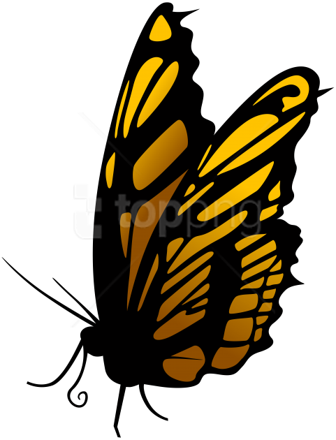 Free Png Download Butterfly Clipart Png Photo Png Images - Free Png Download Butterfly Clipart Png Photo Png Images (481x630)