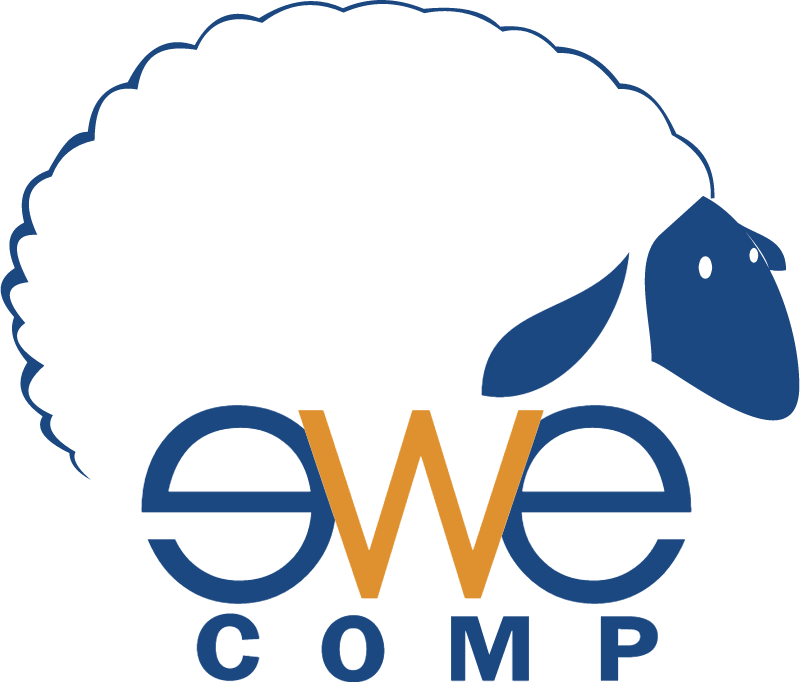 Ewe Comp Vector - Ewe (800x682)
