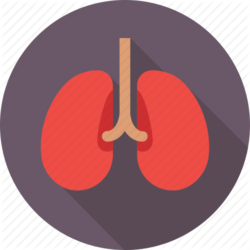 Banner Transparent Library Medical And Health By Stall - Circle (512x512)