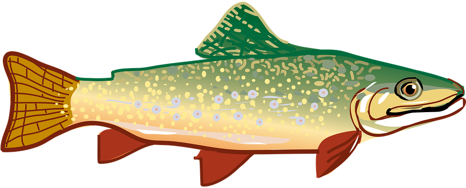Washington Fishing Lakes - Trout Clipart (960x480)