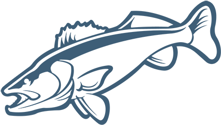 Montauk State Park - Illustration (500x307)