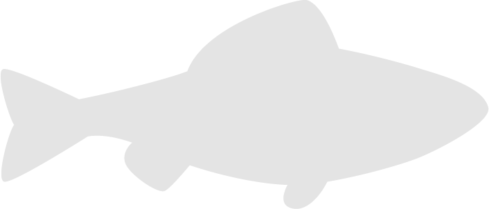 Lake Trout, Rainbow Trout - Lake Trout, Rainbow Trout (706x303)
