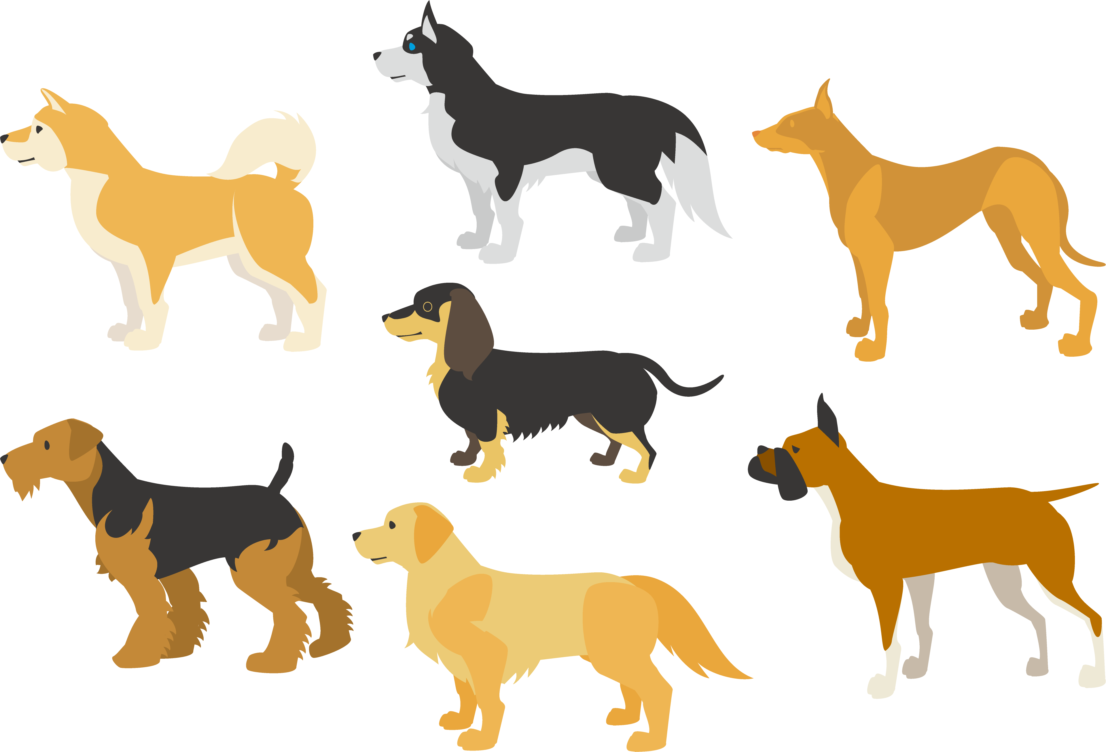 Border Collie Clipart Minimalist - イヌ イラスト (3840x2612)
