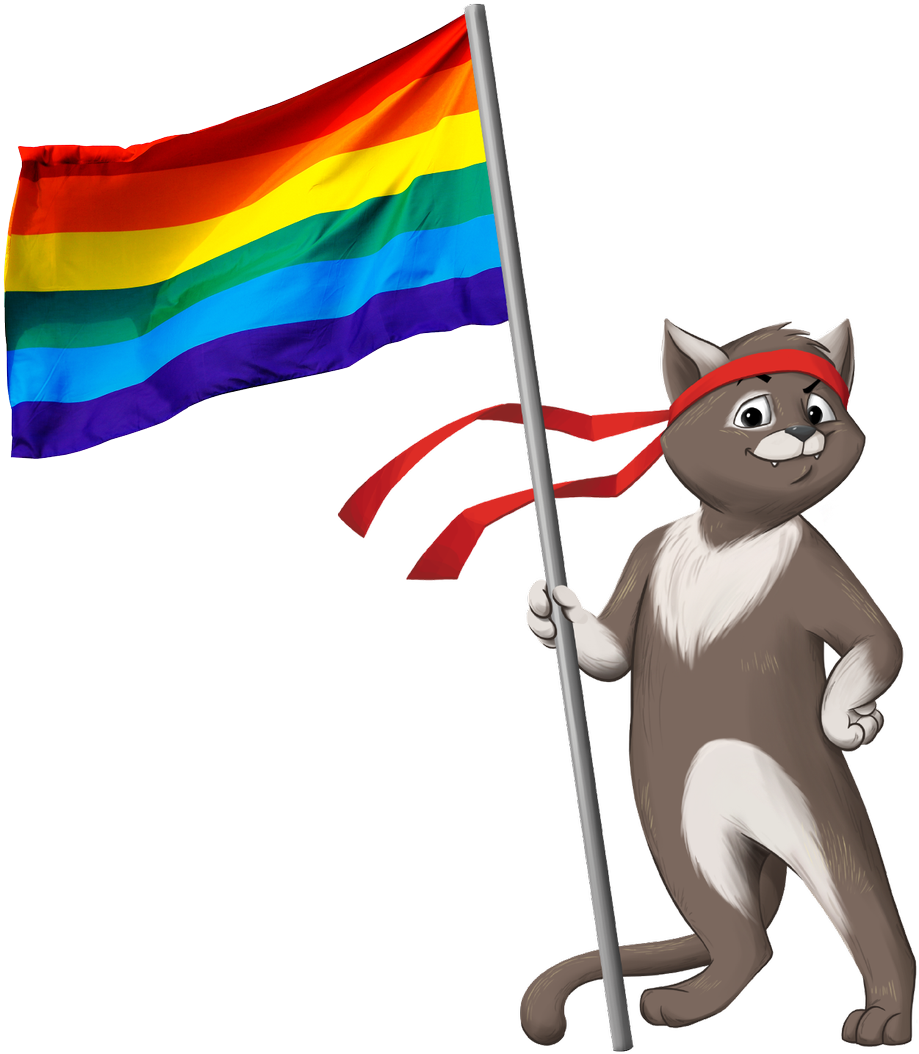 Ninjacat With A Rainbow Flag - Cartoon (1119x1200)