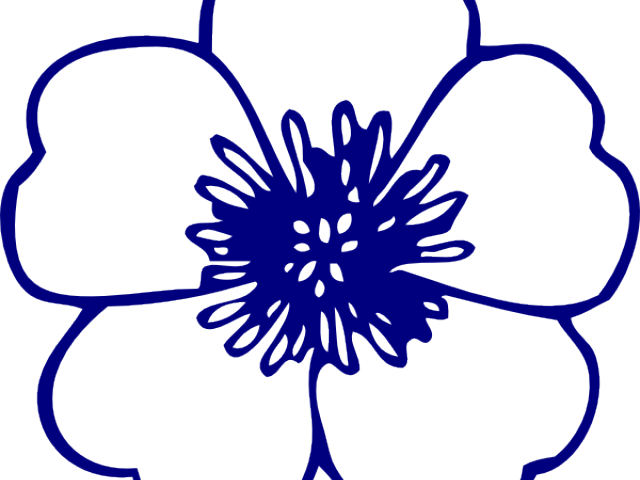 Blue Flower Drawing Png (640x480)