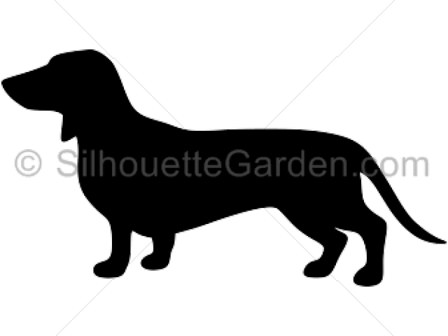 Shadow Clipart Dachshund - Clip Art (640x480)