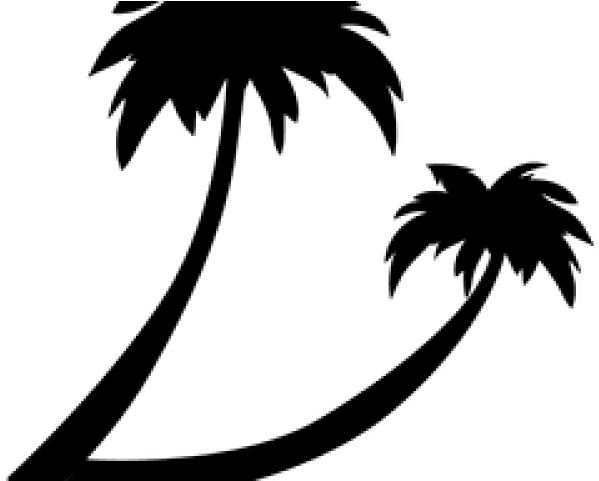 Coconut Tree Silhouette Png (640x480)