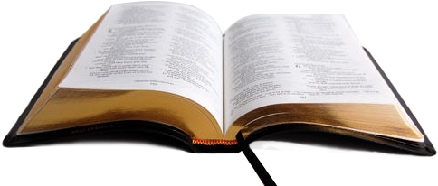 500 X 250 20 - Bible (500x250)