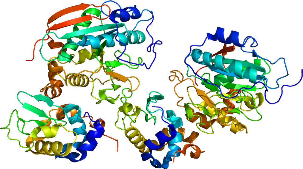 B4galt1 Structure (1063x616) Png Clipart Download