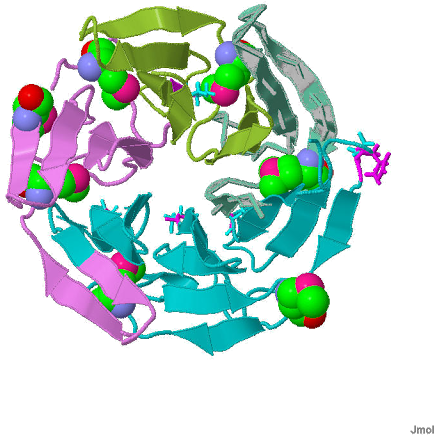 35 Angstrom Dgr Structure Of The Kelch Domain Of Keap1 - Graphic Design (512x512)