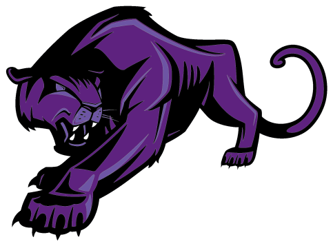 Jaguar - Illustration (800x800)