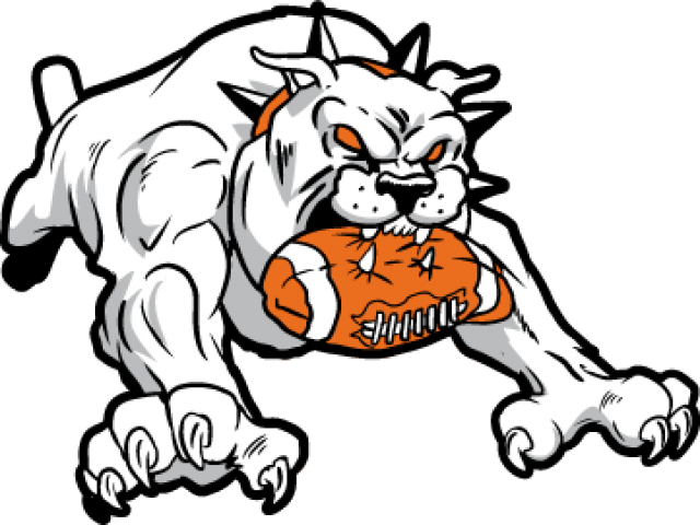 Jaguar Clipart Basketball - Football Bulldog Clipart (640x480)